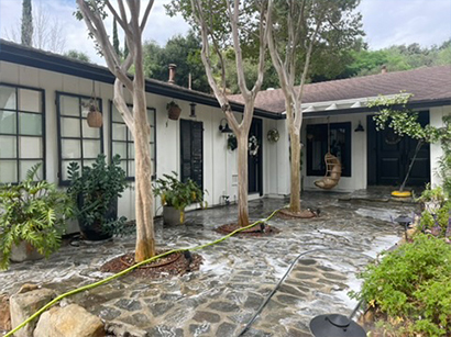 House-Siding-and-Washing
