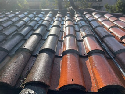 Roof-and-Gutter-Cleaning