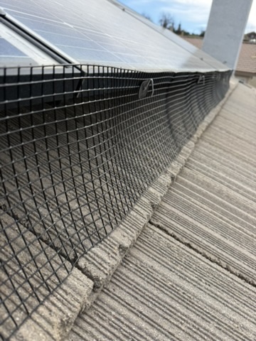 Bird proofing mesh under solar panels
