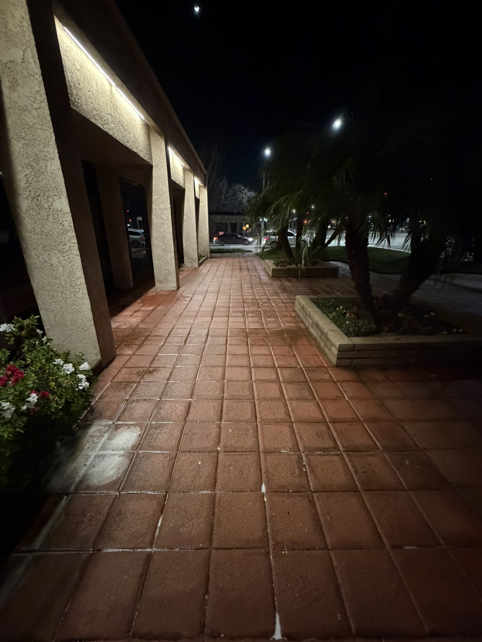 C3D2D877-DF67-4506-BDE8-3D14F2CC32EB_1_102_o