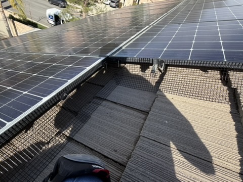 F93B7229-5FC1-4450-9C17-650BA0D1905D_4_5005_c