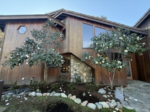 A5F4311A-B52B-4D7A-91B7-5B34180F8A10_4_5005_c