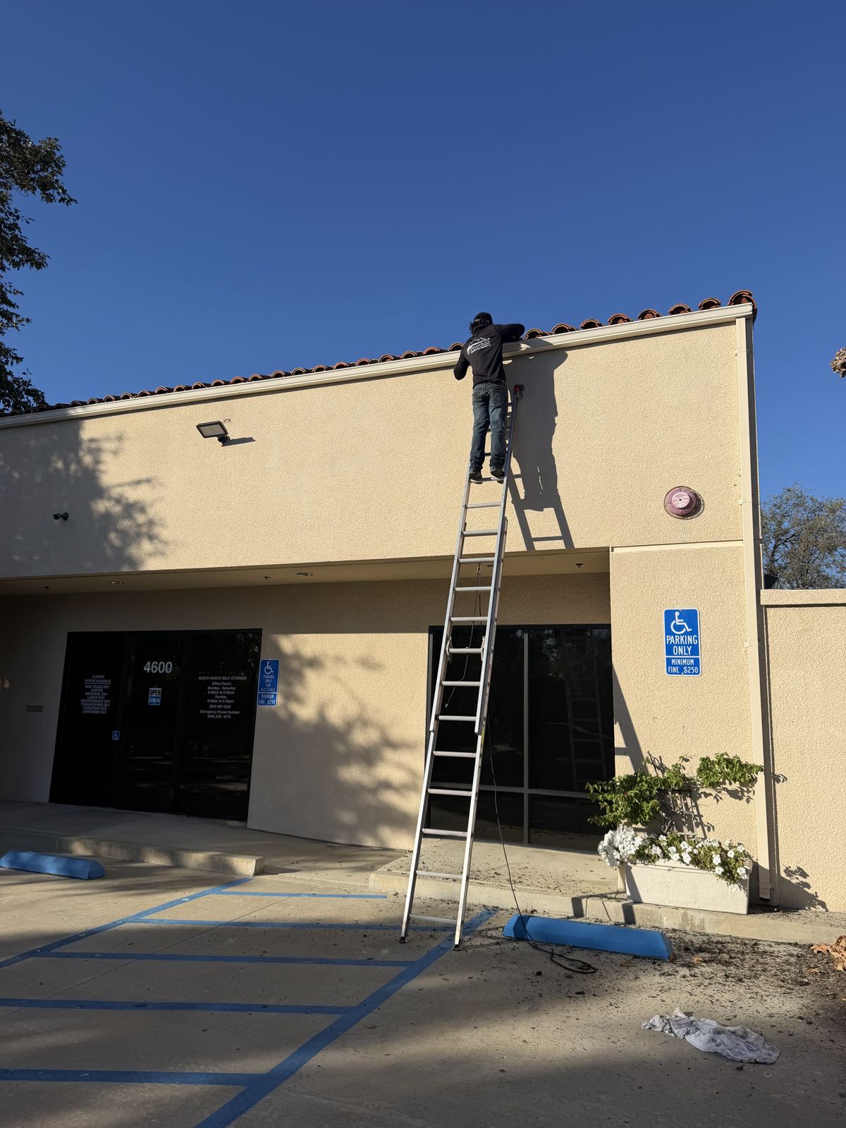 Exterior cleaning of a commercial building with ladder access